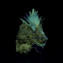 Aragonite (fluorescent) Eugui M05152